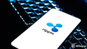 Read more about the article Ripple CEO Predicts Lengthy SEC Appeal Process in XRP Case