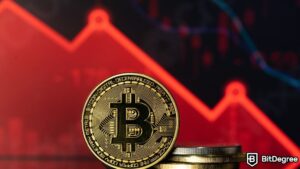 Read more about the article Bitcoin’s Quick Slide to Below $41,000 Shocks Crypto Market